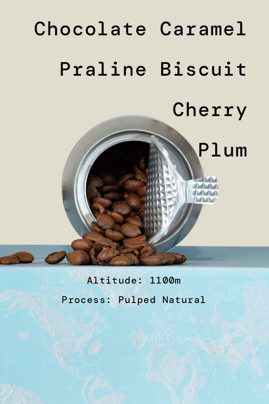 Brazil Fazenda Paraiso