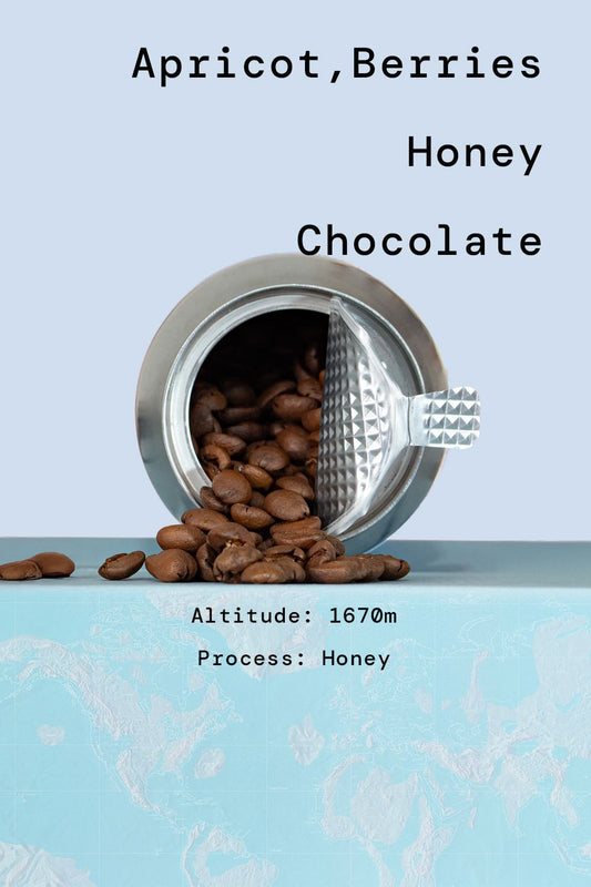 Honduras Honey Process Coffee