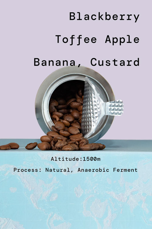 Nicaragua Natural Anaerobic