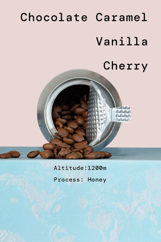 Nicaragua Jinotega Honey