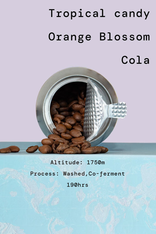 Co fermented coffee purple caturra