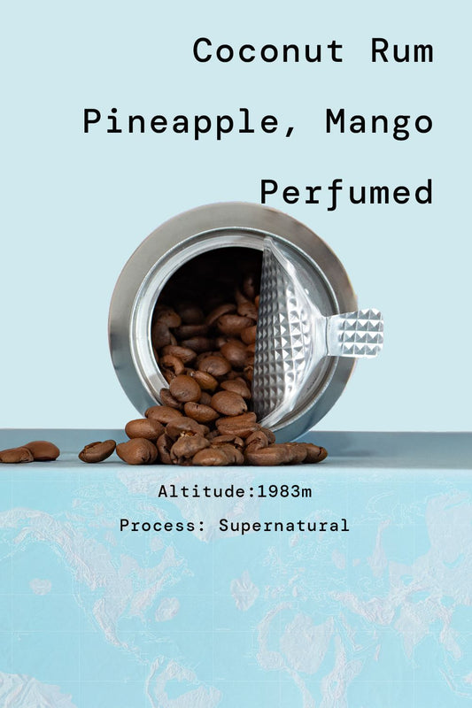 Ethiopia Gargari Gutiti Yirgacheffe G1 Supernatural