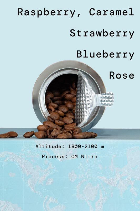 Ethiopia Yirgacheffee | Nitro Process | +88