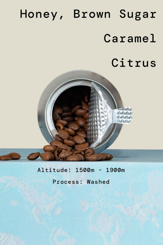 1.2kg Speciality Coffee Beans | Omni Roast blend