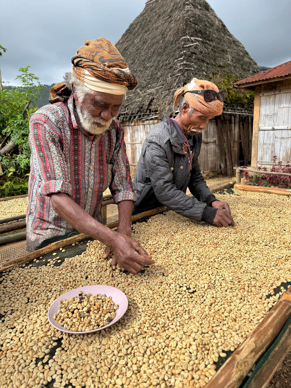 East Timor coffee quality control