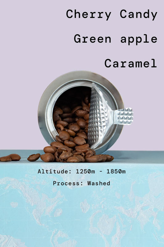 Mexico Puebla Microlot