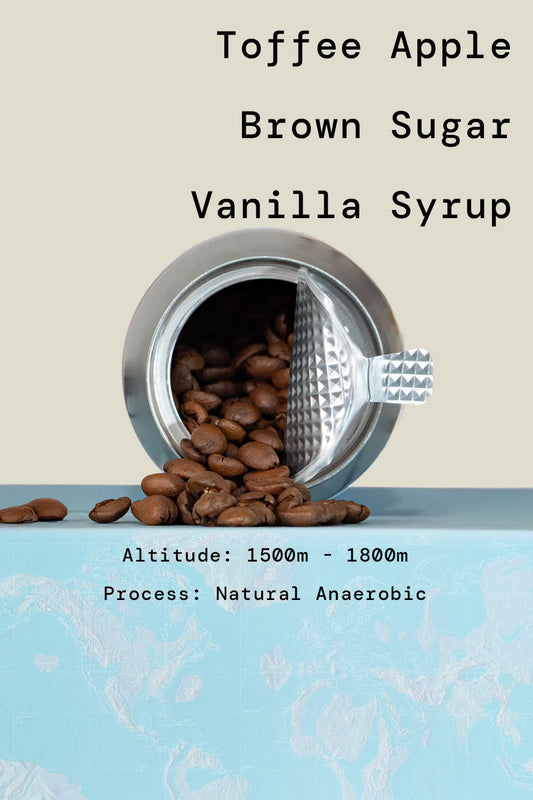 Costa Rica Finca Casa de Piedra Venecia Anaerobic Natural