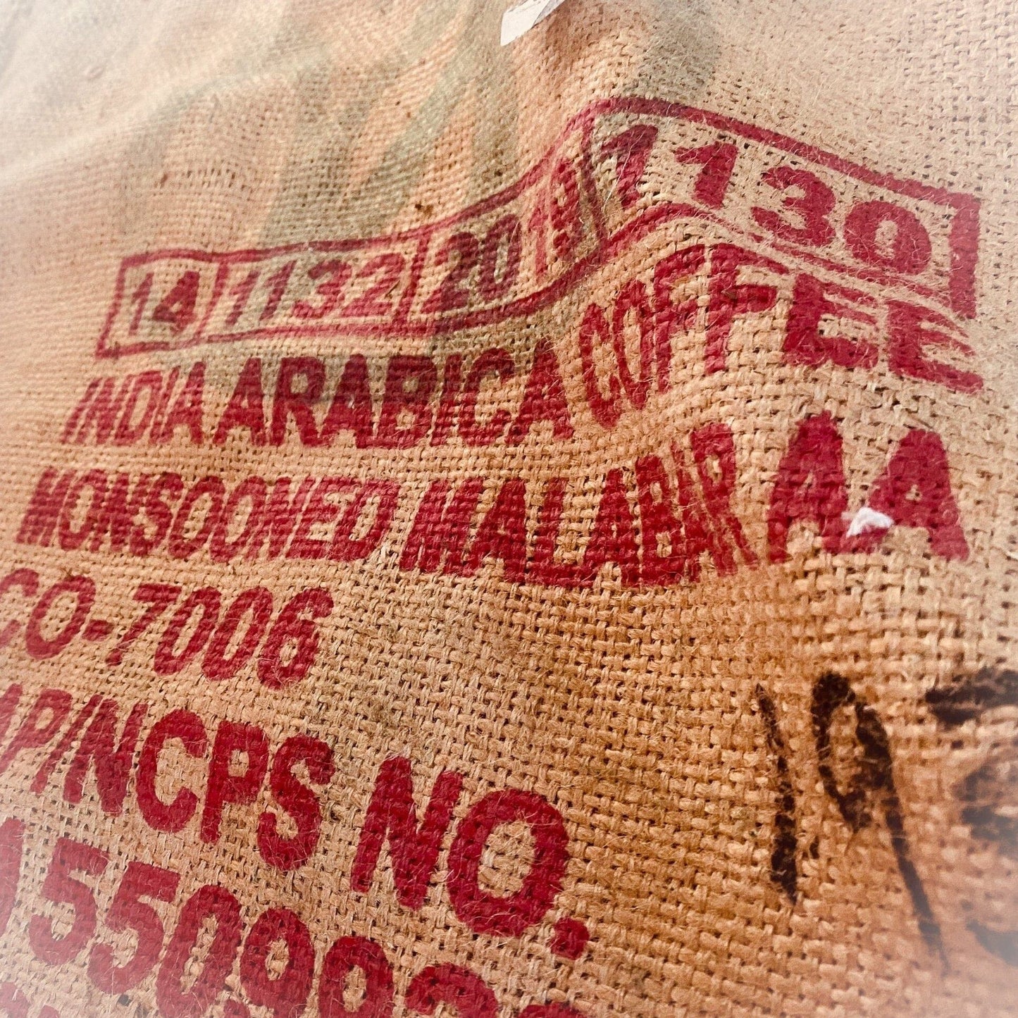Indian Monsoon Malabar Coffee | Arabica Coffee Beans | Potterbeans