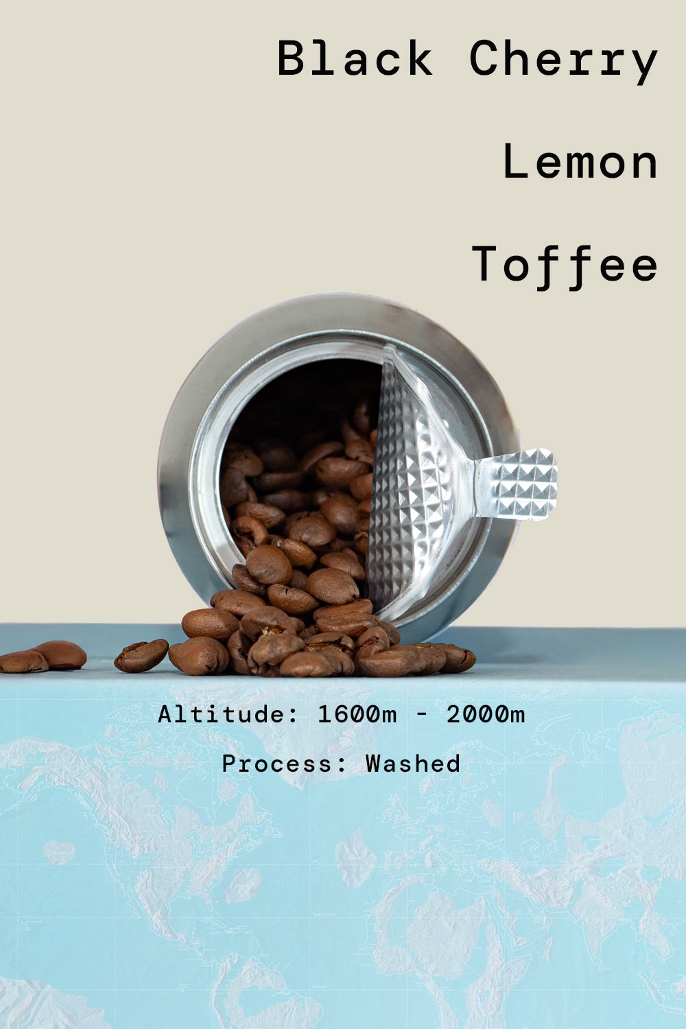 Kenya Kamwangi AB Washed