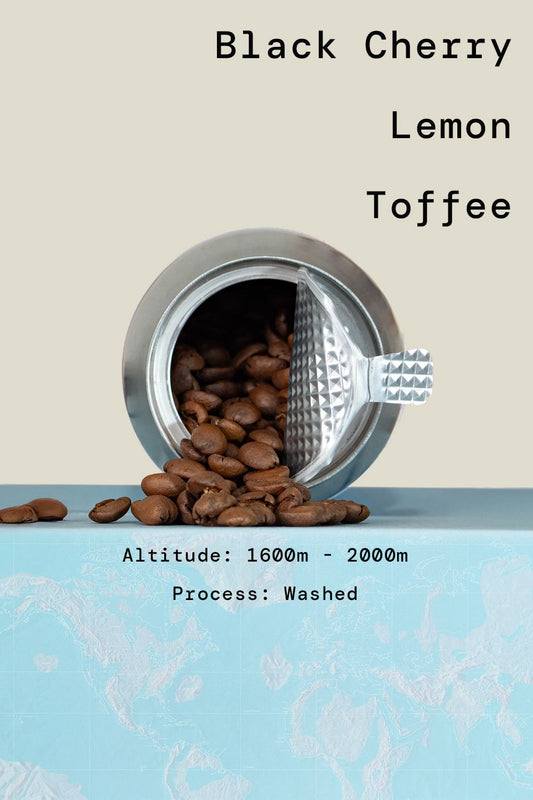 Kenya Kamwangi AB Washed